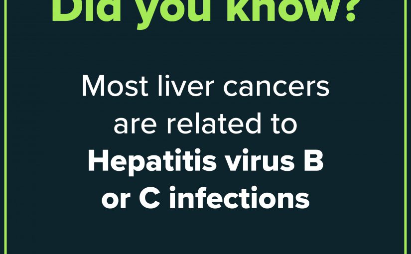Most liver cancers are related to Hepatitis virus B or C infections