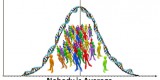 Nobody is Average- a normal distribution curve with figures inside it and DNA as the curve
