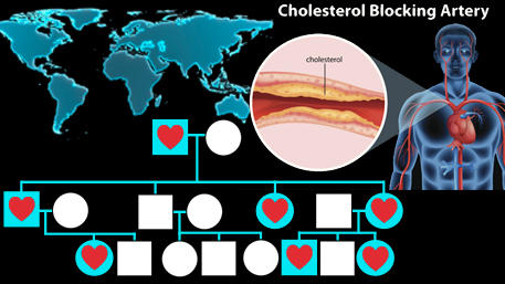 a map of the world, an artery clogged with cholesterol and a pedigree with hearts