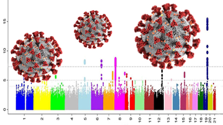 a Manhattan plot wiht COVID-19 virus