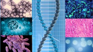 a double helix with different viruses and diseases