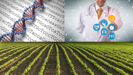 sequencing with a double helix and a doctor pointing to different icons above a farm field