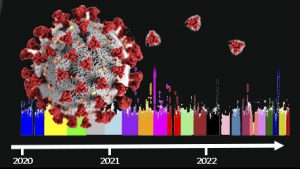 host genomics on a timeline from 2020 and beyond with a COVID-19 virus and some spikes breaking off on the timeline