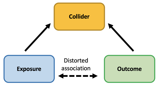 Exposure and Outcome with an arrow between them labeled Distorted Association and two arrows going to Collider