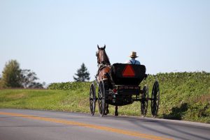 Amish horse pulling cart near Lancaster, Pennsylvania in Pennsylvania Dutch country.