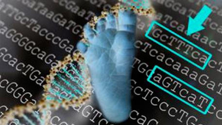 a newborn foot with sequencing and DNA
