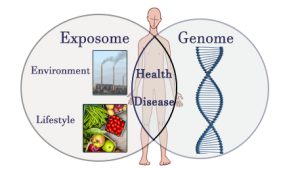 a body with two circles overlaying - one labeled Exposome with Environmental and an image of smoke stacks and Lifestyle with an image of fruit. The other circle is labeled Genome with a double helix. The intersection is labeled Health and Disease