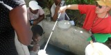 Dengue in Haiti