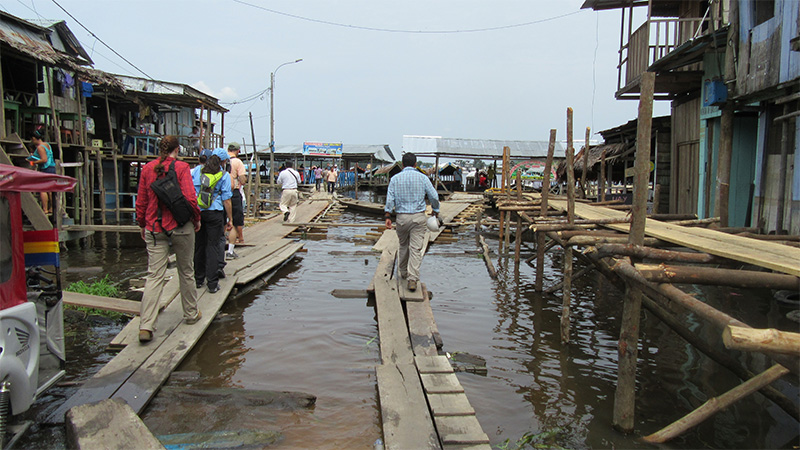 A team in Peru heading out for field work and preparing for mosquito collection.