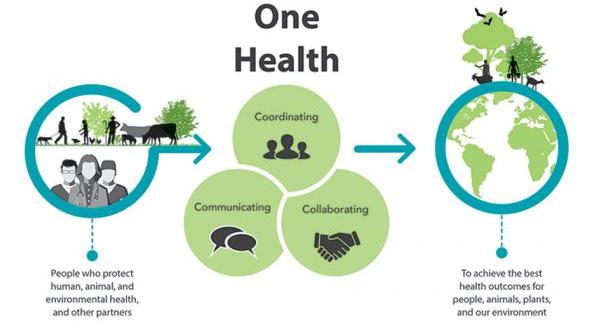 One Health is a collaborative, multisectoral, and transdisciplinary approach—working at the local, regional, national, and global levels—with the goal of achieving optimal health outcomes recognizing the interconnection between people, animals, plants, and their shared environment.