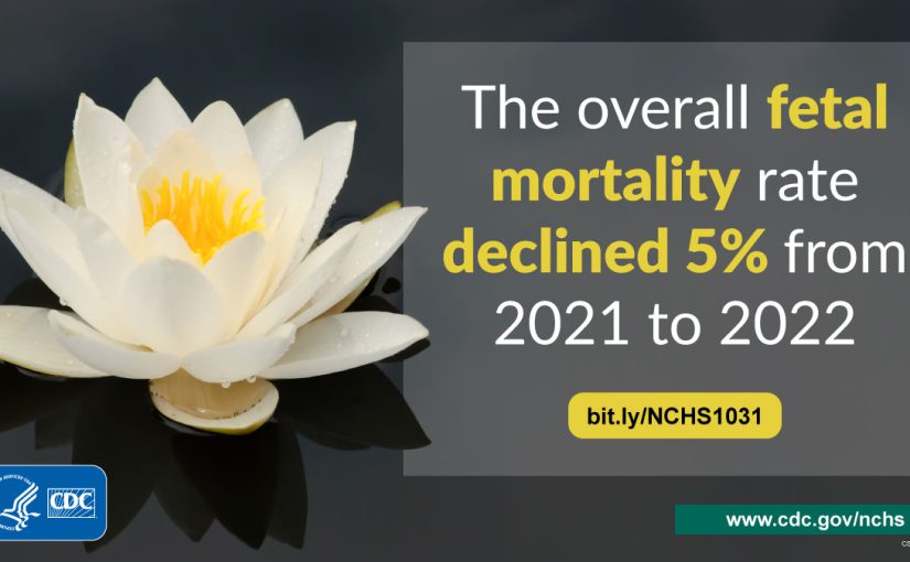 An image on the left shows a white flower floating on the water, and a transparent background box on the right states the overall fetal mortality rate declined 5% from 2021 to 2022.