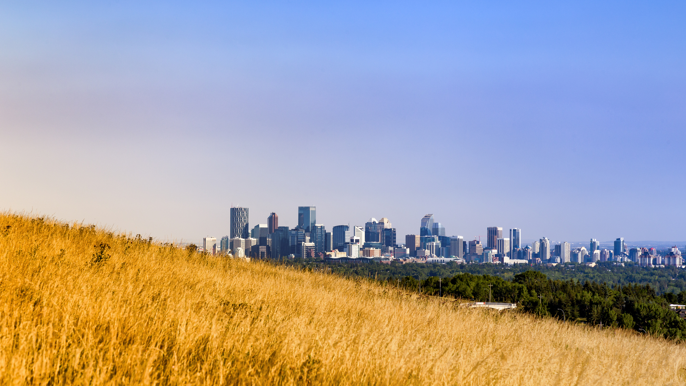 Panoramic view of the urban skyline from a grassy hill under a clear blue sky.