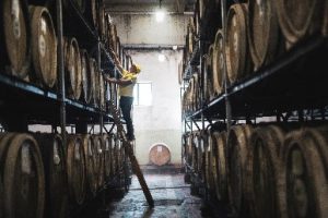 Man on a ladder examining barrels in distillery.