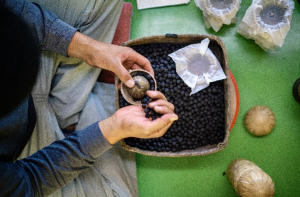 Worker filling fireworks by hand 