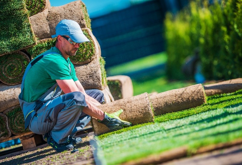 Seasoned Employees in the Landscaping Services Industry, Blogs