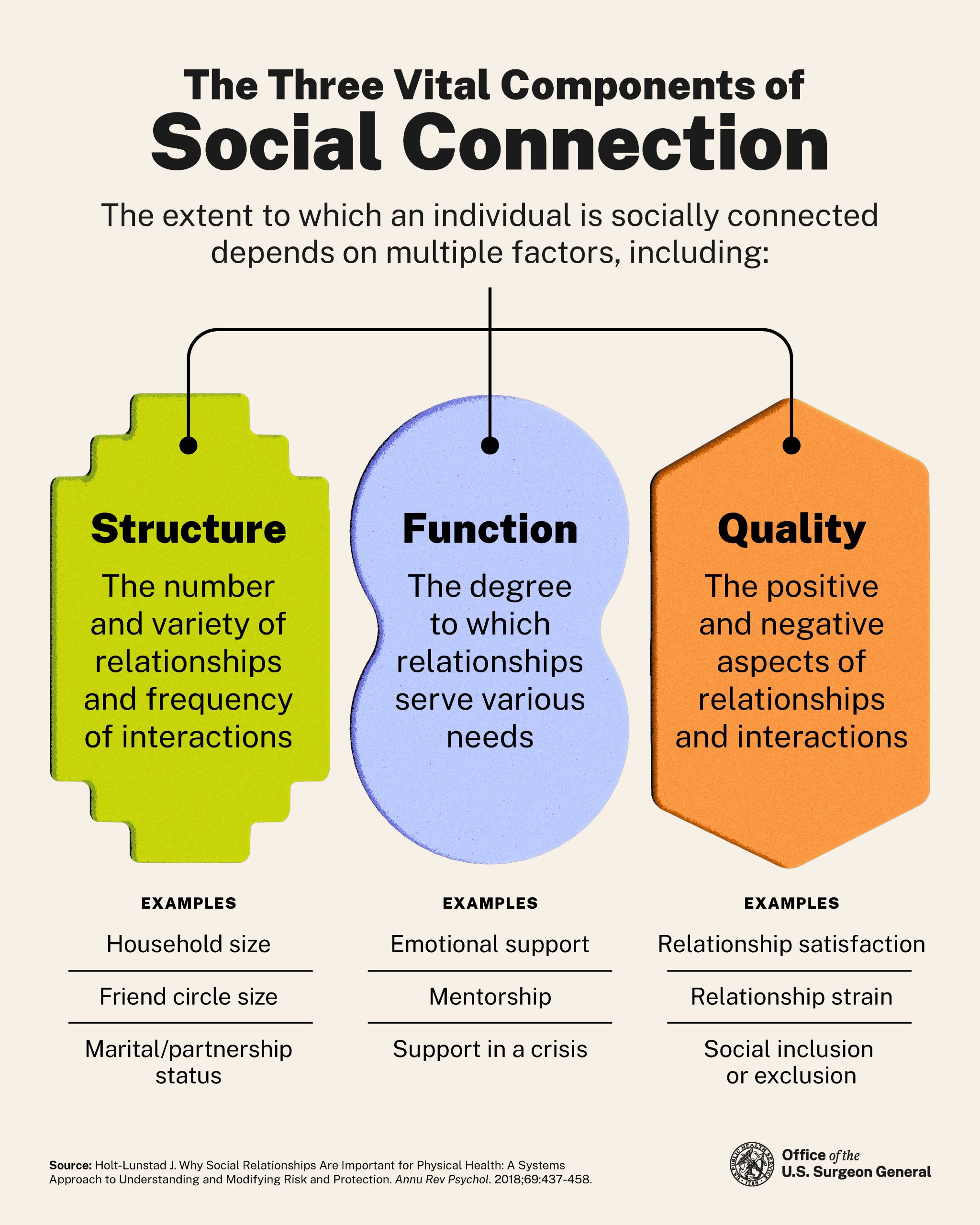 Graphic depicting the three vital components of social connection: structure, function, and quality with examples. 