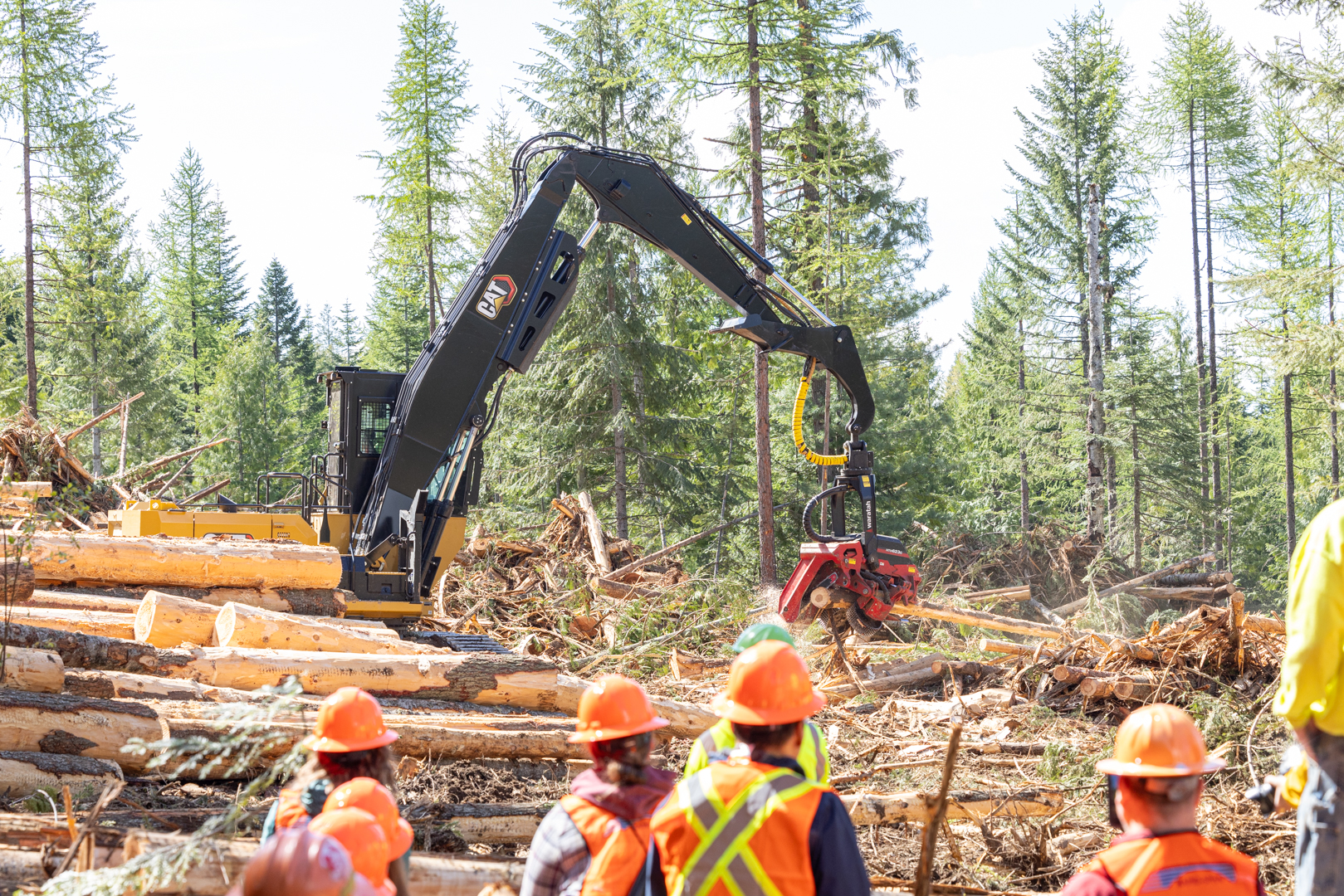 People in hard hats observing felling and harvesting equipment in action.