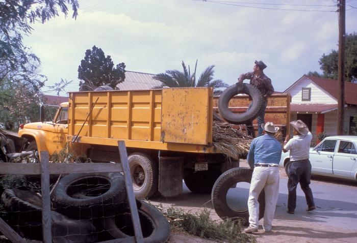 Breakbone Fever Attacks Enchanted Island Battling The 2010 Dengue Epidemic In Puerto Rico 