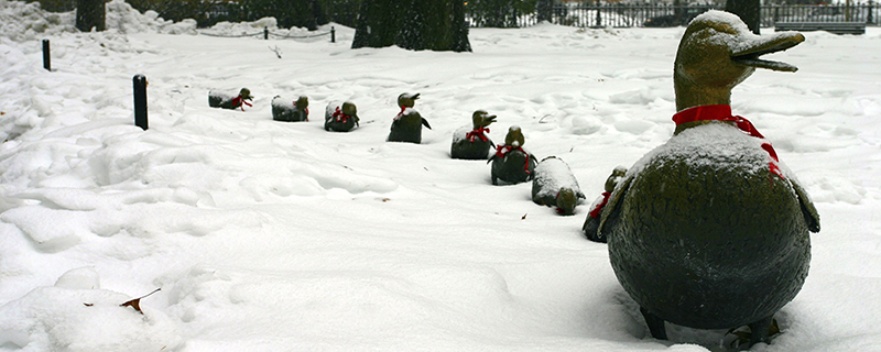 Boston duck statues in the snow