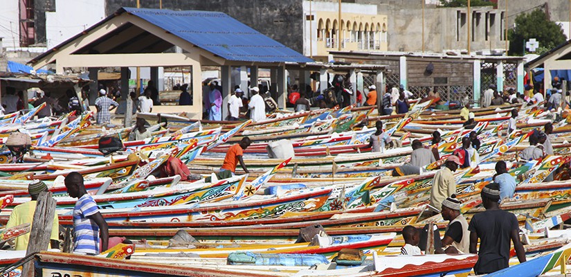 Soumbedioune fish market in Dakar, Senegal