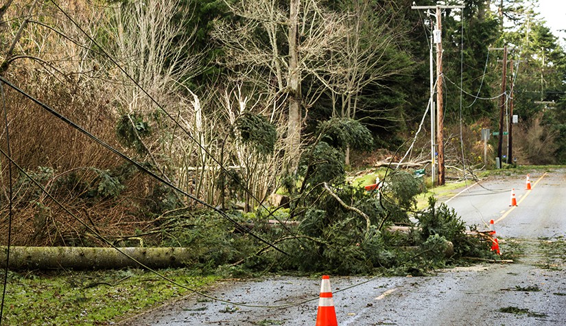 Fallen trees and damaged electrical power lines blocking a road; hazards after a natural disaster wind storm