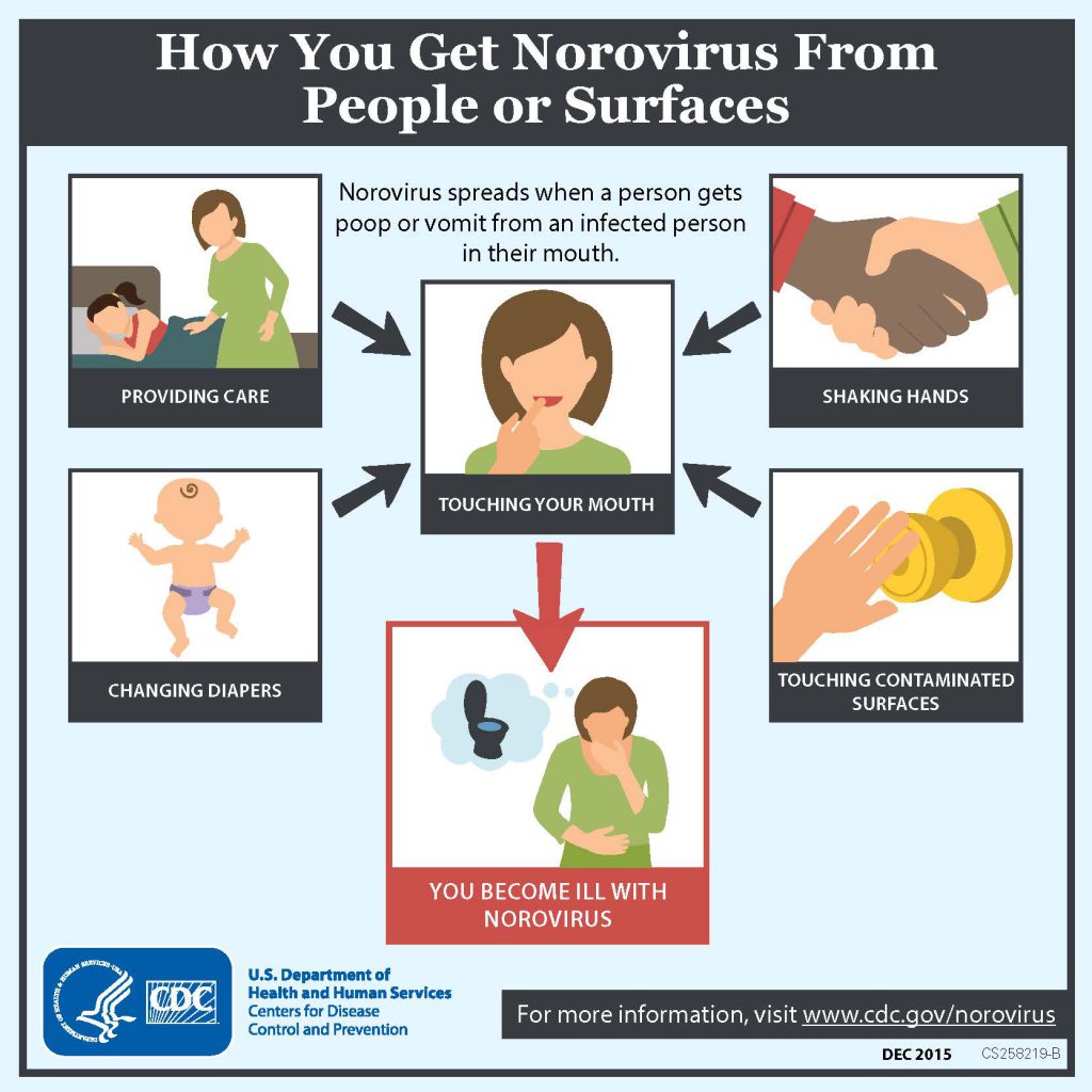 INFOGRAPHIC How Get Norovirus 1024x1024 