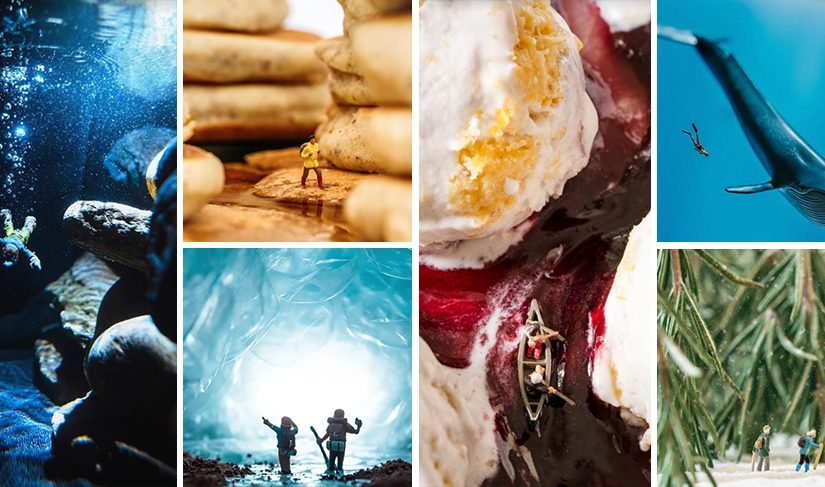 A collage of staged photos created by several Instagram users. The photos use toys and food to recreate scenes in nature.