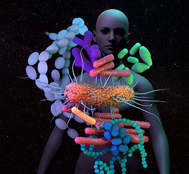 The human Microbiome, genetic material of all the microbes that live on and inside the human body.