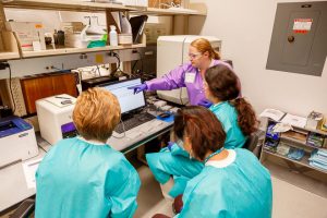 A training event at the Wadsworth Center Bacteriology Laboratory