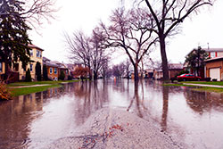 After you return home, if you find that your home was flooded, practice safe cleaning.