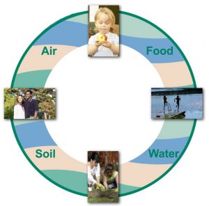 Air, Food, Soil and Water