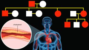 a body with exposed heart and an artery with cholesterol and a pedigree in the background