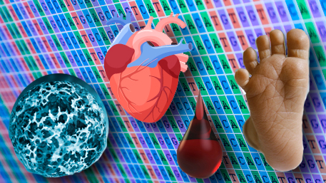 s cancer cell, a heart, a drop of blood and a babies foot in front of sequencing