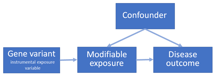 flowchart: Confounder arrows to Modifiable Exposure and Disease Outcome; Gene Variant (Instrument Exposure Variable) arrow to Modifiable Exposure and Modifiable Exposure arrow to Disease Outcome
