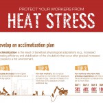 Heat stress infographic