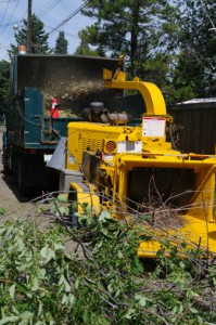 Commercial Wood Chipper