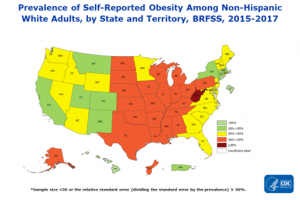 Prevalence of self-reported obesity among non-Hispanic white, non-Hispanic black, and Hispanic adults, by state and territory, Behavioral Risk Factor Surveillance System, 2015–2017. Obesity was defined as a body mass index of 30 or higher based on self-reported weight in kilograms divided by the square of the height in meters. Prevalence estimates reflect changes in BRFSS methods that started in 2011. These estimates should not be compared to prevalence estimates before 2011. Areas are indicated as having insufficient data if they had a sample size of less than 50 or a relative standard error (dividing the standard error by the prevalence) of 30% or more.