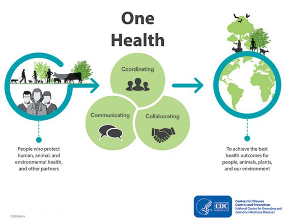 one-health-a-comprehensive-approach-to-preventing-disease-saving