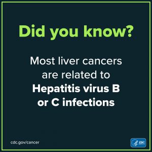 Most liver cancers are related to Hepatitis virus B or C infections