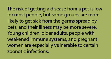 The risk of getting a disease from a pet is low for most people, but some groups are more likely to get sick from the germs spread by pets, and their illness may be more severe. Young children, older adults, people with weakened immune systems, and pregnant women are especially vulnerable to certain zoonotic infections.