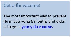 Get a flu vaccine! The most important way to prevent the flu in everyone 6 months and older is to get a yearly flu vaccine.