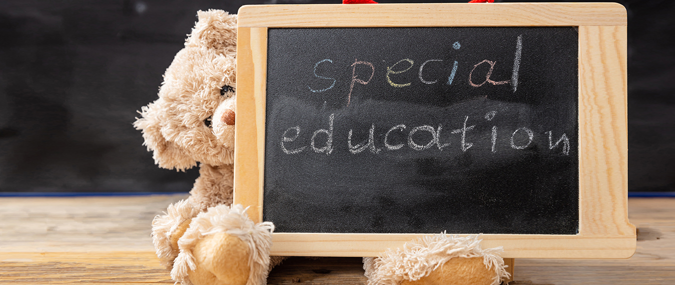 Special Education Bear