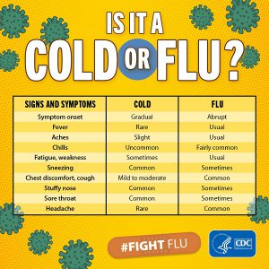 cold or flu graphic