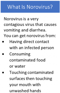 Graphic that defines norovirus. Text also in body of article.