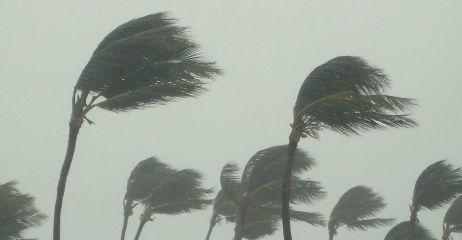 What You Need to Know About Differences in Wind-Speed Reporting for  Hurricanes 