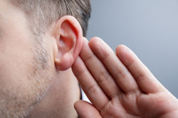 The outer ear—the part of the ear you see—funnels sound waves into the ear canal.