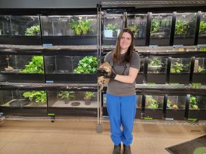 Dr. Brittany Szafran holding a Cane Toad at the Amphibian Foundation