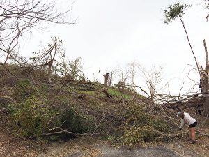 Hurricane Maria 2017 – Clean Up